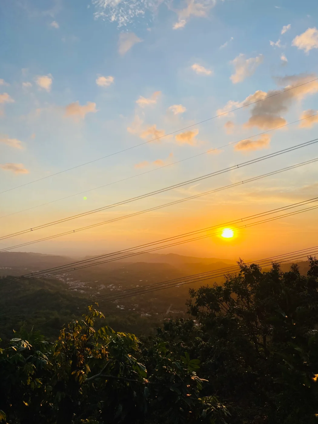 東山果園的夕陽